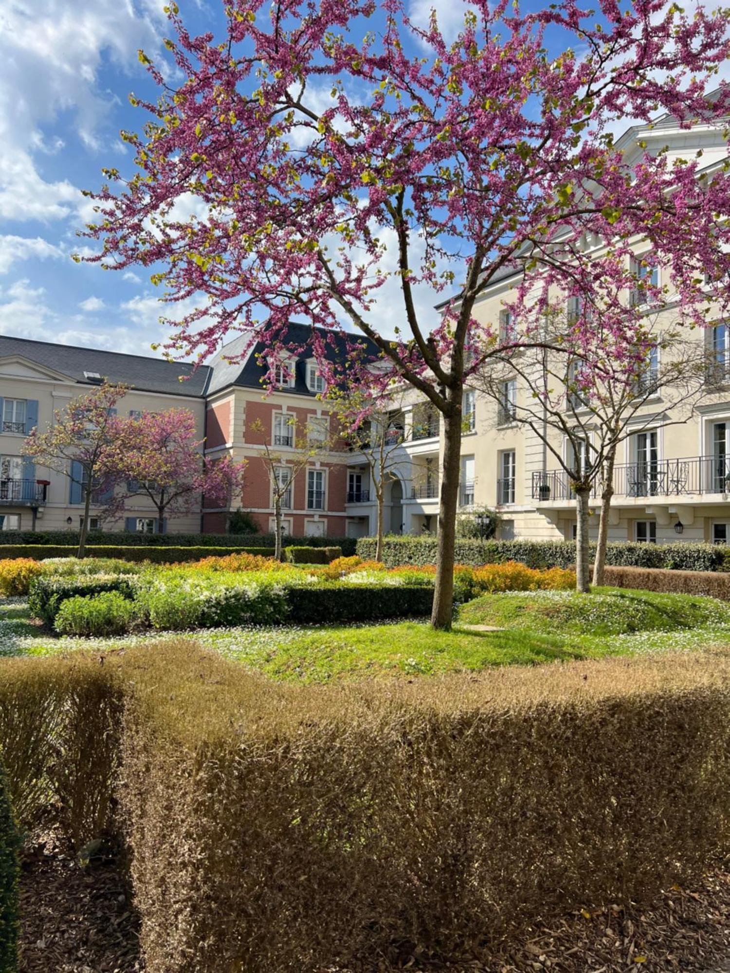 Appartement Disneyland Idealement Situe Serris Exteriör bild